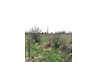 Property photo 87 - ONCE IN A LIFETIME OPPORTUNITY AUCTION - 183+/- ACRES IN 27 TRACTS IN BRANCH COUNTY, MICHIGAN