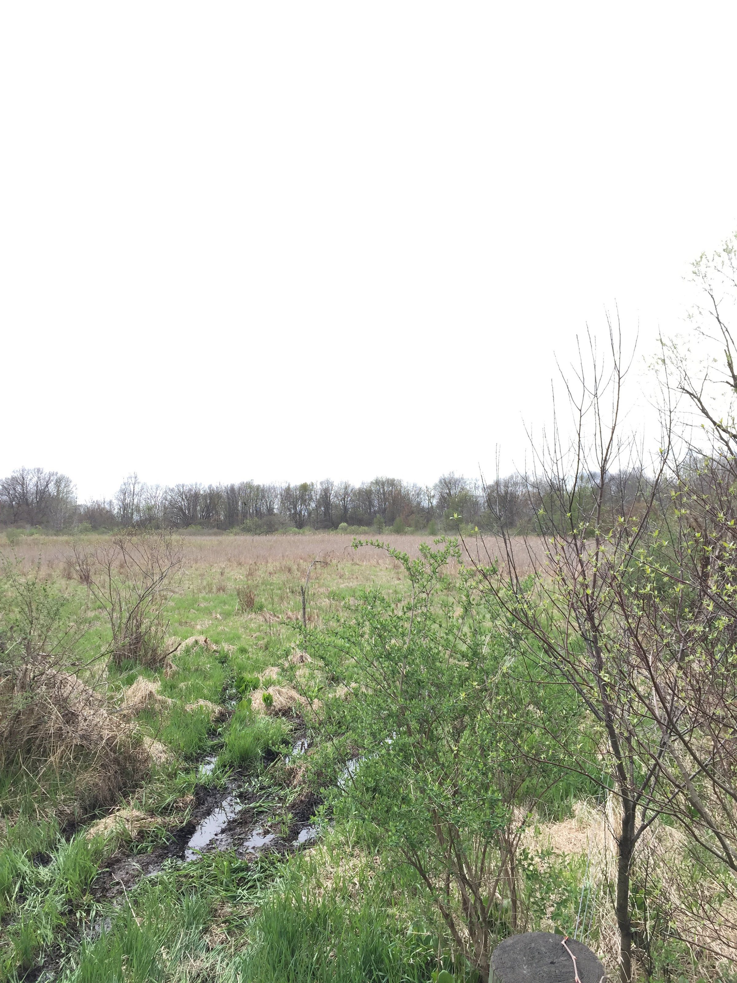 Property photo 56 - ONCE IN A LIFETIME OPPORTUNITY AUCTION - 183+/- ACRES IN 27 TRACTS IN BRANCH COUNTY, MICHIGAN