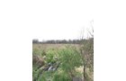 Property photo 56 - ONCE IN A LIFETIME OPPORTUNITY AUCTION - 183+/- ACRES IN 27 TRACTS IN BRANCH COUNTY, MICHIGAN