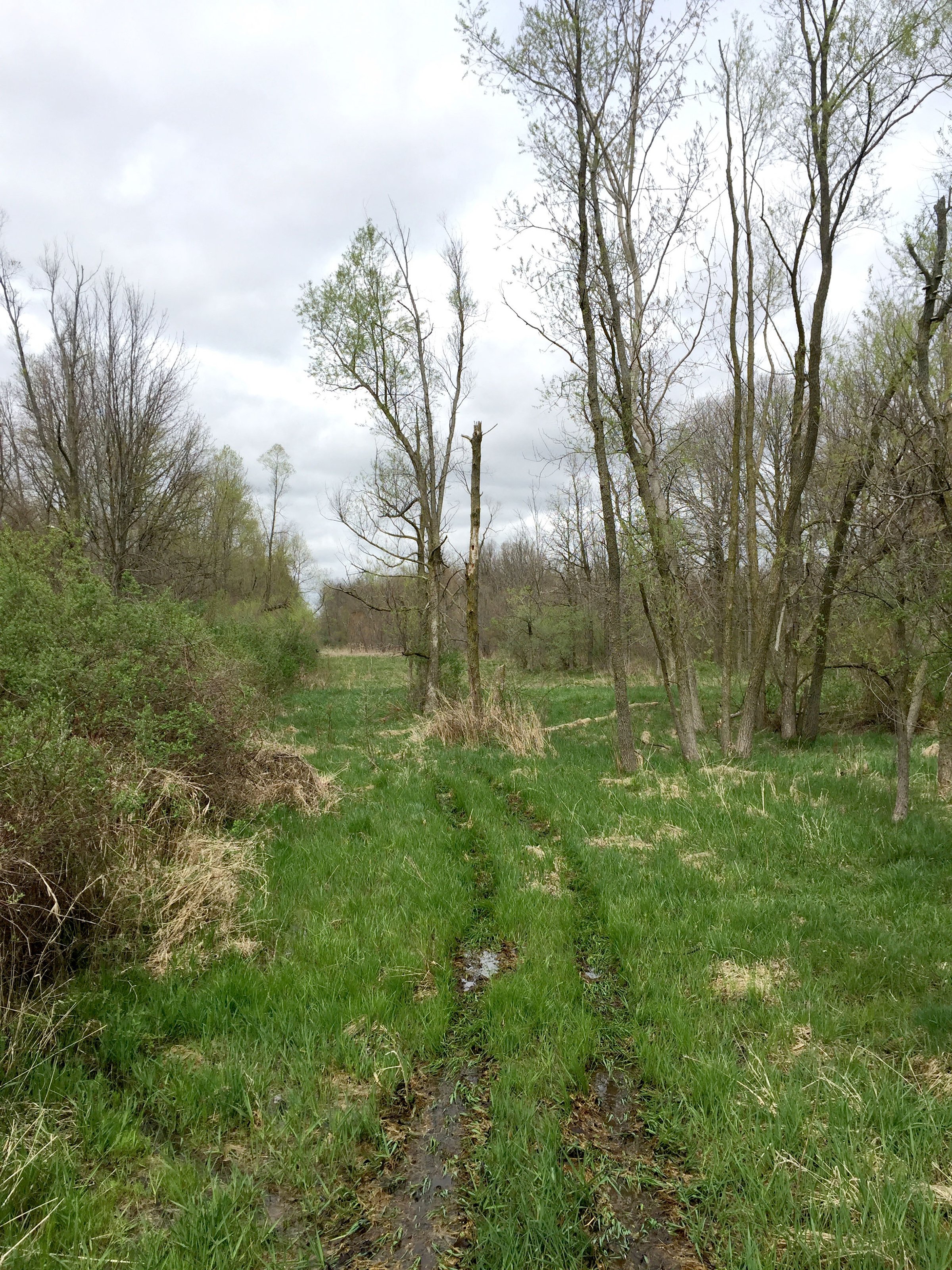 Property photo 82 - ONCE IN A LIFETIME OPPORTUNITY AUCTION - 183+/- ACRES IN 27 TRACTS IN BRANCH COUNTY, MICHIGAN