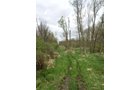 Property photo 82 - ONCE IN A LIFETIME OPPORTUNITY AUCTION - 183+/- ACRES IN 27 TRACTS IN BRANCH COUNTY, MICHIGAN