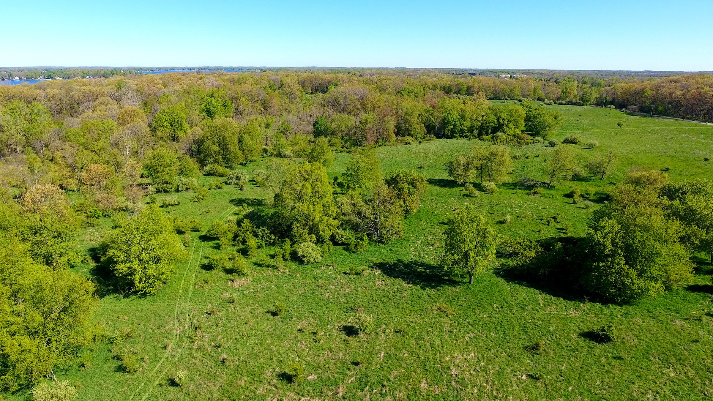 Property photo 22 - ONCE IN A LIFETIME OPPORTUNITY AUCTION - 183+/- ACRES IN 27 TRACTS IN BRANCH COUNTY, MICHIGAN