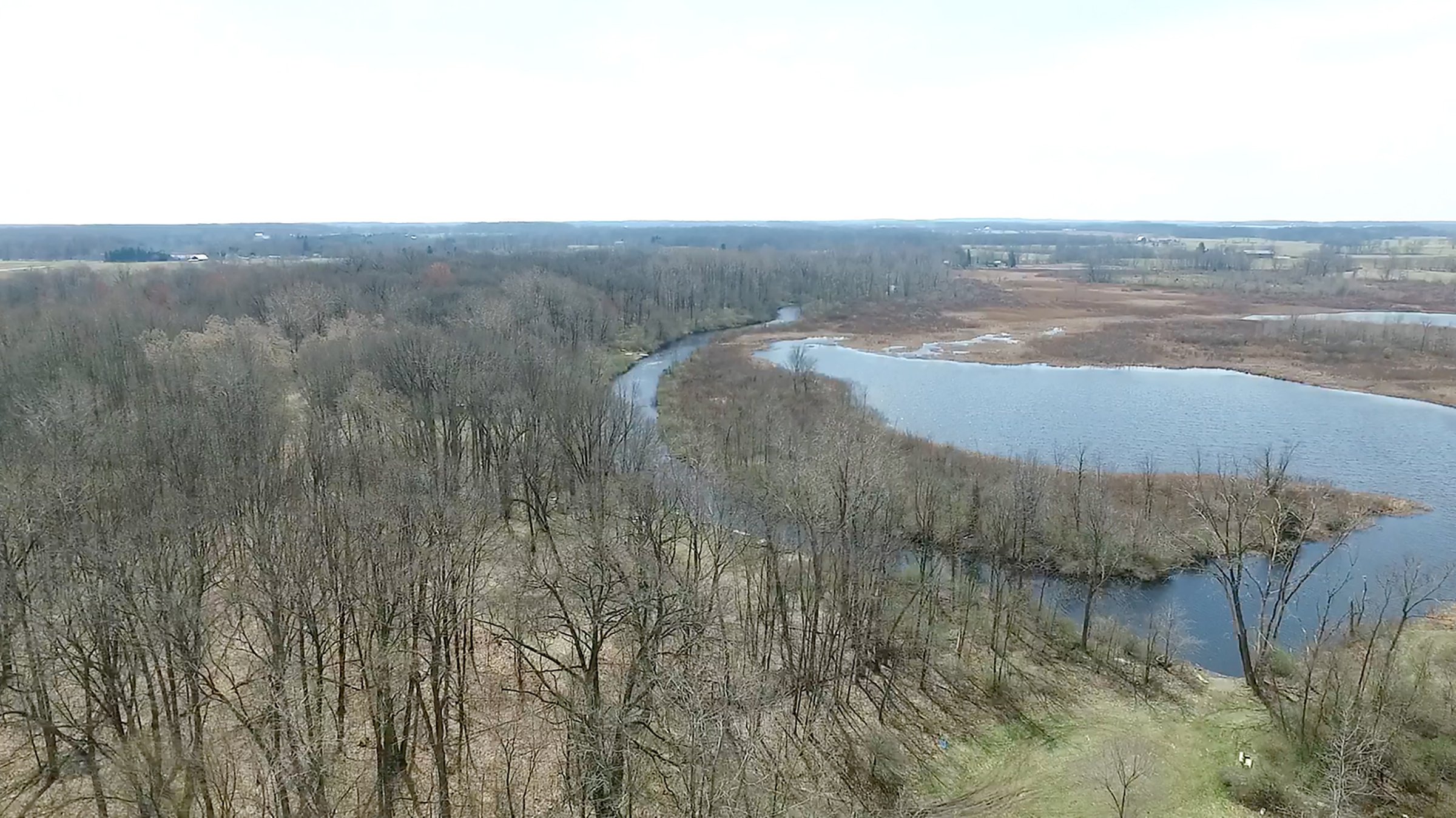 Property photo 15 - ONCE IN A LIFETIME OPPORTUNITY AUCTION - 183+/- ACRES IN 27 TRACTS IN BRANCH COUNTY, MICHIGAN