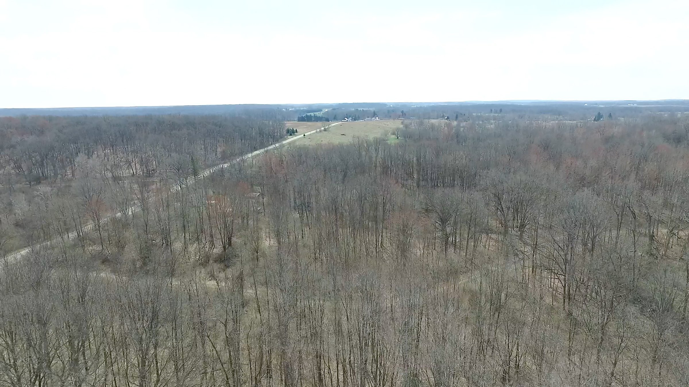 Property photo 23 - ONCE IN A LIFETIME OPPORTUNITY AUCTION - 183+/- ACRES IN 27 TRACTS IN BRANCH COUNTY, MICHIGAN