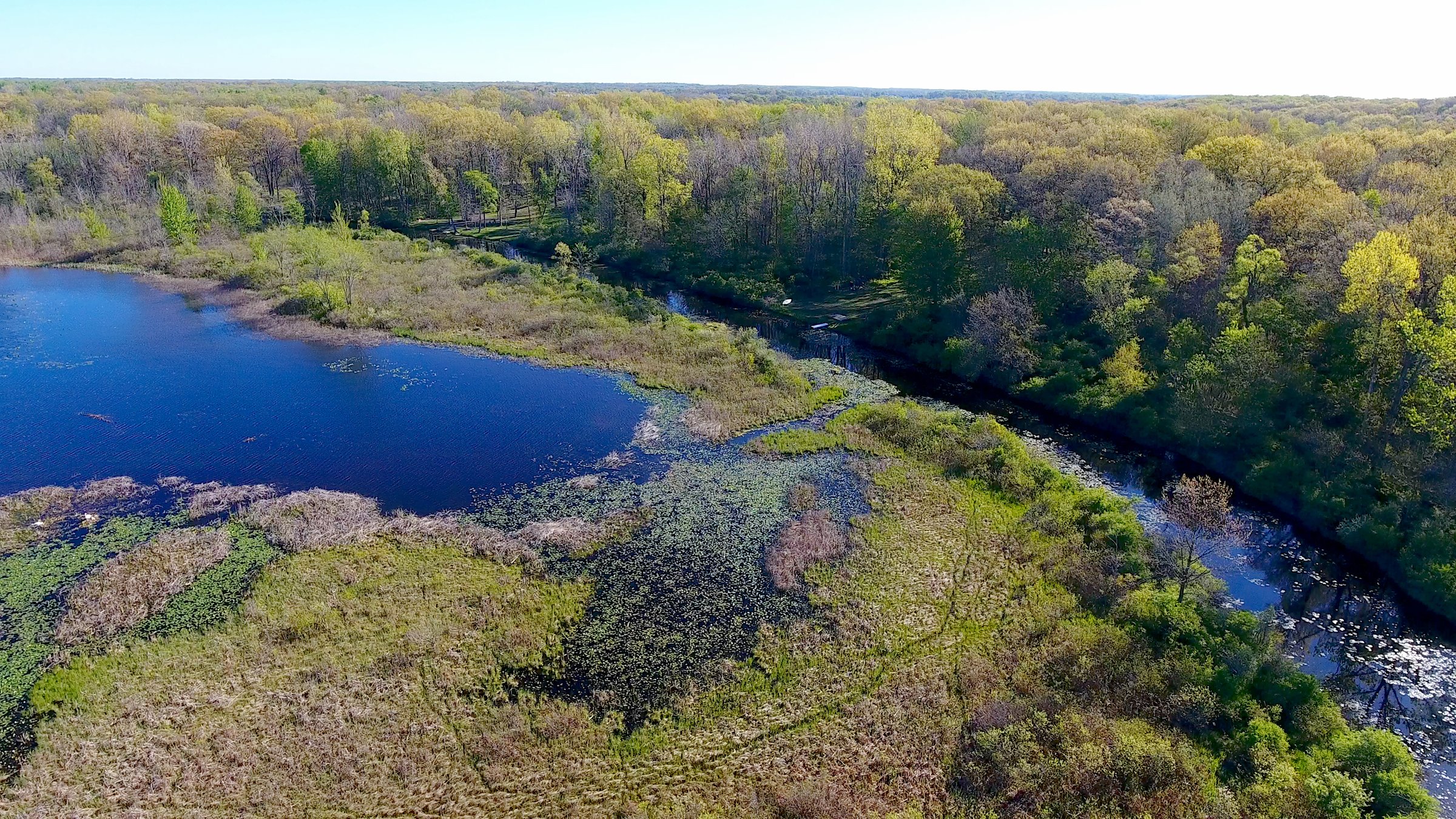Property photo 6 - ONCE IN A LIFETIME OPPORTUNITY AUCTION - 183+/- ACRES IN 27 TRACTS IN BRANCH COUNTY, MICHIGAN
