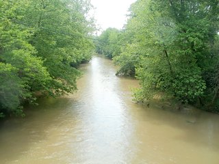 Property photo 1 - CROPLAND/RECREATIONAL LAND AUCTION - 81.5+/- ACRES OFFERED IN 2 TRACTS IN WAYNE COUNTY, INDIANA