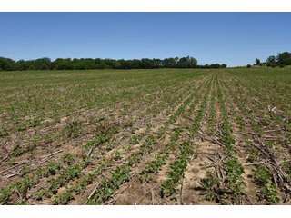 Tract 7 - REAL ESTATE AUCTION - 486+/- ACRES OFFERED IN 9 TRACTS IN MORGAN & MARION COUNTIES, INDIANA
