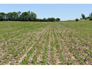 Tract 7 - REAL ESTATE AUCTION - 486+/- ACRES OFFERED IN 9 TRACTS IN MORGAN & MARION COUNTIES, INDIANA