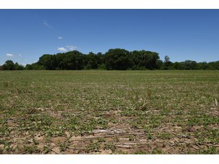 Tract 7 - REAL ESTATE AUCTION - 486+/- ACRES OFFERED IN 9 TRACTS IN MORGAN & MARION COUNTIES, INDIANA