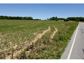 Tract 7 - REAL ESTATE AUCTION - 486+/- ACRES OFFERED IN 9 TRACTS IN MORGAN & MARION COUNTIES, INDIANA