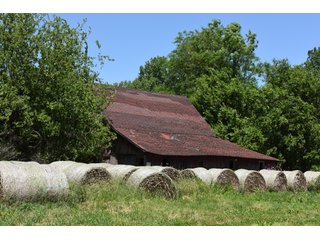 Tract 8 - REAL ESTATE AUCTION - 486+/- ACRES OFFERED IN 9 TRACTS IN MORGAN & MARION COUNTIES, INDIANA