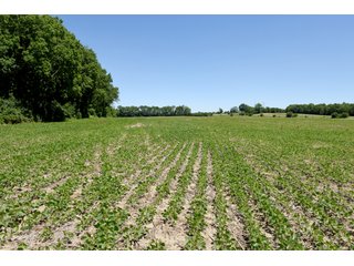 Tract 8 - REAL ESTATE AUCTION - 486+/- ACRES OFFERED IN 9 TRACTS IN MORGAN & MARION COUNTIES, INDIANA