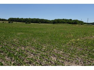 Tract 8 - REAL ESTATE AUCTION - 486+/- ACRES OFFERED IN 9 TRACTS IN MORGAN & MARION COUNTIES, INDIANA
