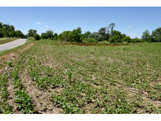 Tract 8 - REAL ESTATE AUCTION - 486+/- ACRES OFFERED IN 9 TRACTS IN MORGAN & MARION COUNTIES, INDIANA