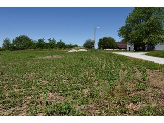 Tract 8 - REAL ESTATE AUCTION - 486+/- ACRES OFFERED IN 9 TRACTS IN MORGAN & MARION COUNTIES, INDIANA
