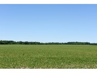 Tract 4 - REAL ESTATE AUCTION - 486+/- ACRES OFFERED IN 9 TRACTS IN MORGAN & MARION COUNTIES, INDIANA