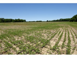 Tract 3 - REAL ESTATE AUCTION - 486+/- ACRES OFFERED IN 9 TRACTS IN MORGAN & MARION COUNTIES, INDIANA