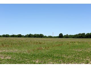 Tract 3 - REAL ESTATE AUCTION - 486+/- ACRES OFFERED IN 9 TRACTS IN MORGAN & MARION COUNTIES, INDIANA