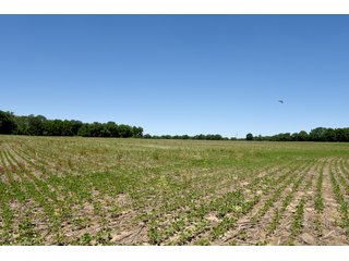 Tract 3 - REAL ESTATE AUCTION - 486+/- ACRES OFFERED IN 9 TRACTS IN MORGAN & MARION COUNTIES, INDIANA