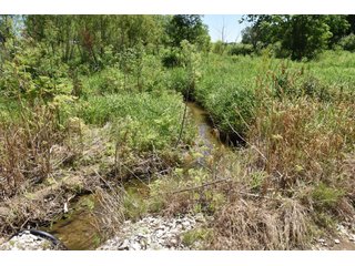 Tract 3 - REAL ESTATE AUCTION - 486+/- ACRES OFFERED IN 9 TRACTS IN MORGAN & MARION COUNTIES, INDIANA