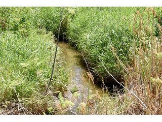 Tract 3 - REAL ESTATE AUCTION - 486+/- ACRES OFFERED IN 9 TRACTS IN MORGAN & MARION COUNTIES, INDIANA