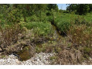 Tract 3 - REAL ESTATE AUCTION - 486+/- ACRES OFFERED IN 9 TRACTS IN MORGAN & MARION COUNTIES, INDIANA