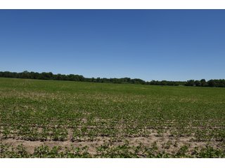 Tract 5 - REAL ESTATE AUCTION - 486+/- ACRES OFFERED IN 9 TRACTS IN MORGAN & MARION COUNTIES, INDIANA