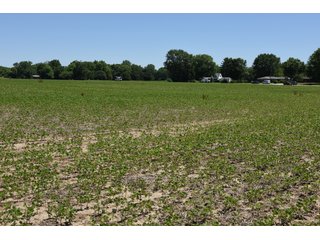 Tract 5 - REAL ESTATE AUCTION - 486+/- ACRES OFFERED IN 9 TRACTS IN MORGAN & MARION COUNTIES, INDIANA