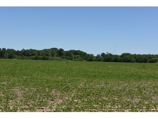 Tract 5 - REAL ESTATE AUCTION - 486+/- ACRES OFFERED IN 9 TRACTS IN MORGAN & MARION COUNTIES, INDIANA