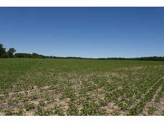 Tract 5 - REAL ESTATE AUCTION - 486+/- ACRES OFFERED IN 9 TRACTS IN MORGAN & MARION COUNTIES, INDIANA