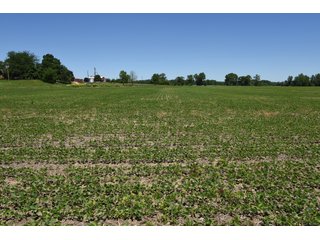 Tract 9 - REAL ESTATE AUCTION - 486+/- ACRES OFFERED IN 9 TRACTS IN MORGAN & MARION COUNTIES, INDIANA