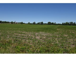 Tract 9 - REAL ESTATE AUCTION - 486+/- ACRES OFFERED IN 9 TRACTS IN MORGAN & MARION COUNTIES, INDIANA