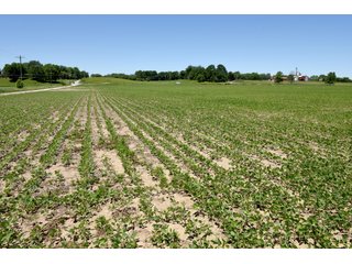 Tract 9 - REAL ESTATE AUCTION - 486+/- ACRES OFFERED IN 9 TRACTS IN MORGAN & MARION COUNTIES, INDIANA