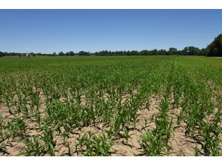 Tract 9 - REAL ESTATE AUCTION - 486+/- ACRES OFFERED IN 9 TRACTS IN MORGAN & MARION COUNTIES, INDIANA