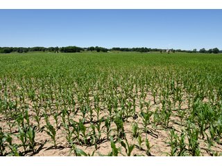 Tract 9 - REAL ESTATE AUCTION - 486+/- ACRES OFFERED IN 9 TRACTS IN MORGAN & MARION COUNTIES, INDIANA