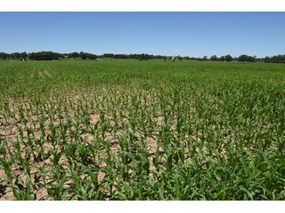 Tract 9 - REAL ESTATE AUCTION - 486+/- ACRES OFFERED IN 9 TRACTS IN MORGAN & MARION COUNTIES, INDIANA