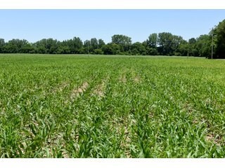 Tract 9 - REAL ESTATE AUCTION - 486+/- ACRES OFFERED IN 9 TRACTS IN MORGAN & MARION COUNTIES, INDIANA