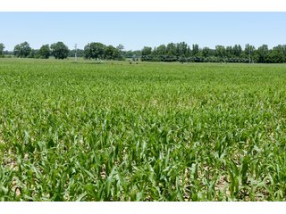 Tract 9 - REAL ESTATE AUCTION - 486+/- ACRES OFFERED IN 9 TRACTS IN MORGAN & MARION COUNTIES, INDIANA