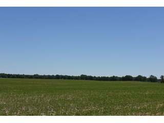 Tract 2 - REAL ESTATE AUCTION - 486+/- ACRES OFFERED IN 9 TRACTS IN MORGAN & MARION COUNTIES, INDIANA