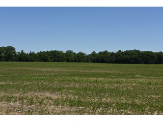 Tract 2 - REAL ESTATE AUCTION - 486+/- ACRES OFFERED IN 9 TRACTS IN MORGAN & MARION COUNTIES, INDIANA