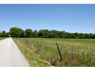 Tract 2 - REAL ESTATE AUCTION - 486+/- ACRES OFFERED IN 9 TRACTS IN MORGAN & MARION COUNTIES, INDIANA