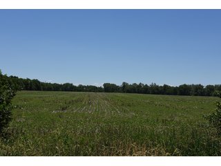 Tract 1 - REAL ESTATE AUCTION - 486+/- ACRES OFFERED IN 9 TRACTS IN MORGAN & MARION COUNTIES, INDIANA