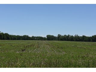 Tract 1 - REAL ESTATE AUCTION - 486+/- ACRES OFFERED IN 9 TRACTS IN MORGAN & MARION COUNTIES, INDIANA