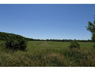 Tract 1 - REAL ESTATE AUCTION - 486+/- ACRES OFFERED IN 9 TRACTS IN MORGAN & MARION COUNTIES, INDIANA