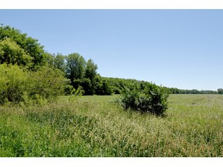 Tract 1 - REAL ESTATE AUCTION - 486+/- ACRES OFFERED IN 9 TRACTS IN MORGAN & MARION COUNTIES, INDIANA