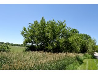 Tract 1 - REAL ESTATE AUCTION - 486+/- ACRES OFFERED IN 9 TRACTS IN MORGAN & MARION COUNTIES, INDIANA