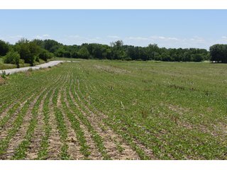 Tract 6 - REAL ESTATE AUCTION - 486+/- ACRES OFFERED IN 9 TRACTS IN MORGAN & MARION COUNTIES, INDIANA
