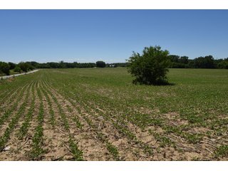 Tract 6 - REAL ESTATE AUCTION - 486+/- ACRES OFFERED IN 9 TRACTS IN MORGAN & MARION COUNTIES, INDIANA