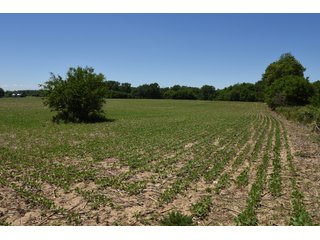Tract 6 - REAL ESTATE AUCTION - 486+/- ACRES OFFERED IN 9 TRACTS IN MORGAN & MARION COUNTIES, INDIANA