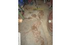 Property photo 125 - PERSONAL PROPERTY AUCTION IN CASS COUNTY, MICHIGAN